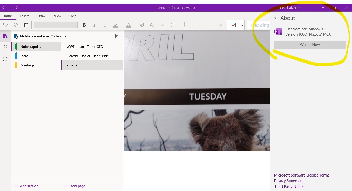 Copy text from picture and handwritten in OneNote - Microsoft Q&A