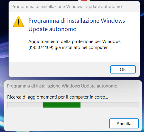 Immagine dell'utente