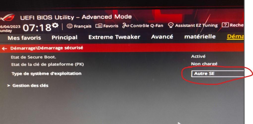Secure boot activé dans le bios mais pas sur windows 11 - Microsoft Q&A