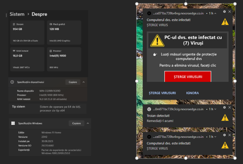 Norton AV Reporting Infection While Windows Defender Reports Clean ...