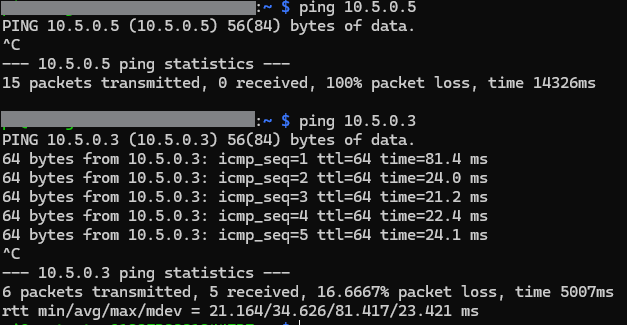 screenshot ping linux host2