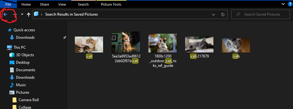 Folder Explorer Search Bar - Microsoft Q&A
