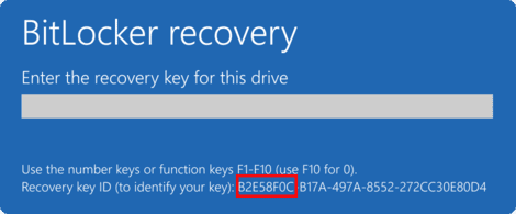 Bitlocker 11 (1)