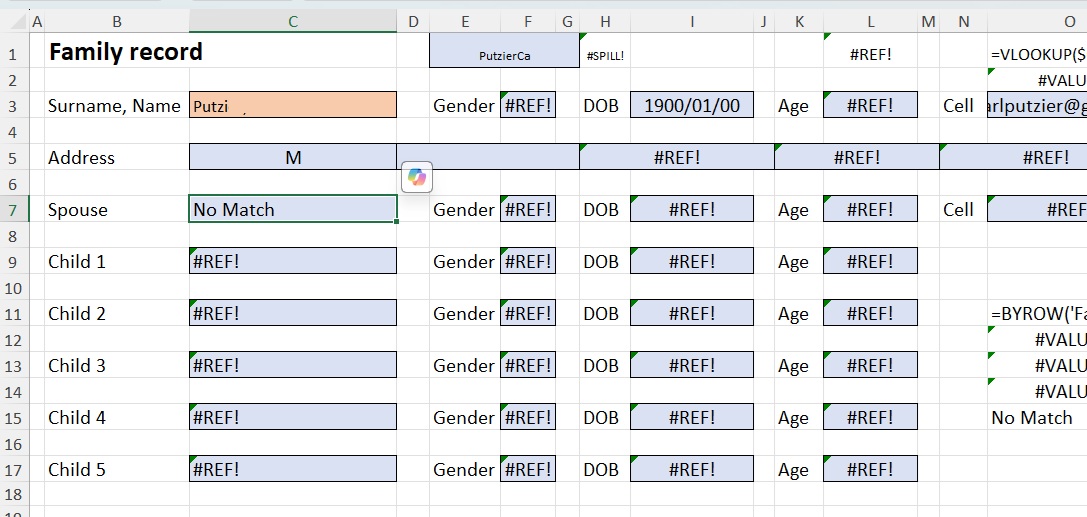 JGSW Input Form
