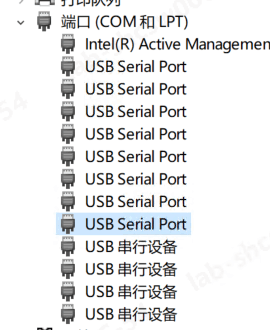 USB Serial Port in device manager without COM number - Microsoft Q&A
