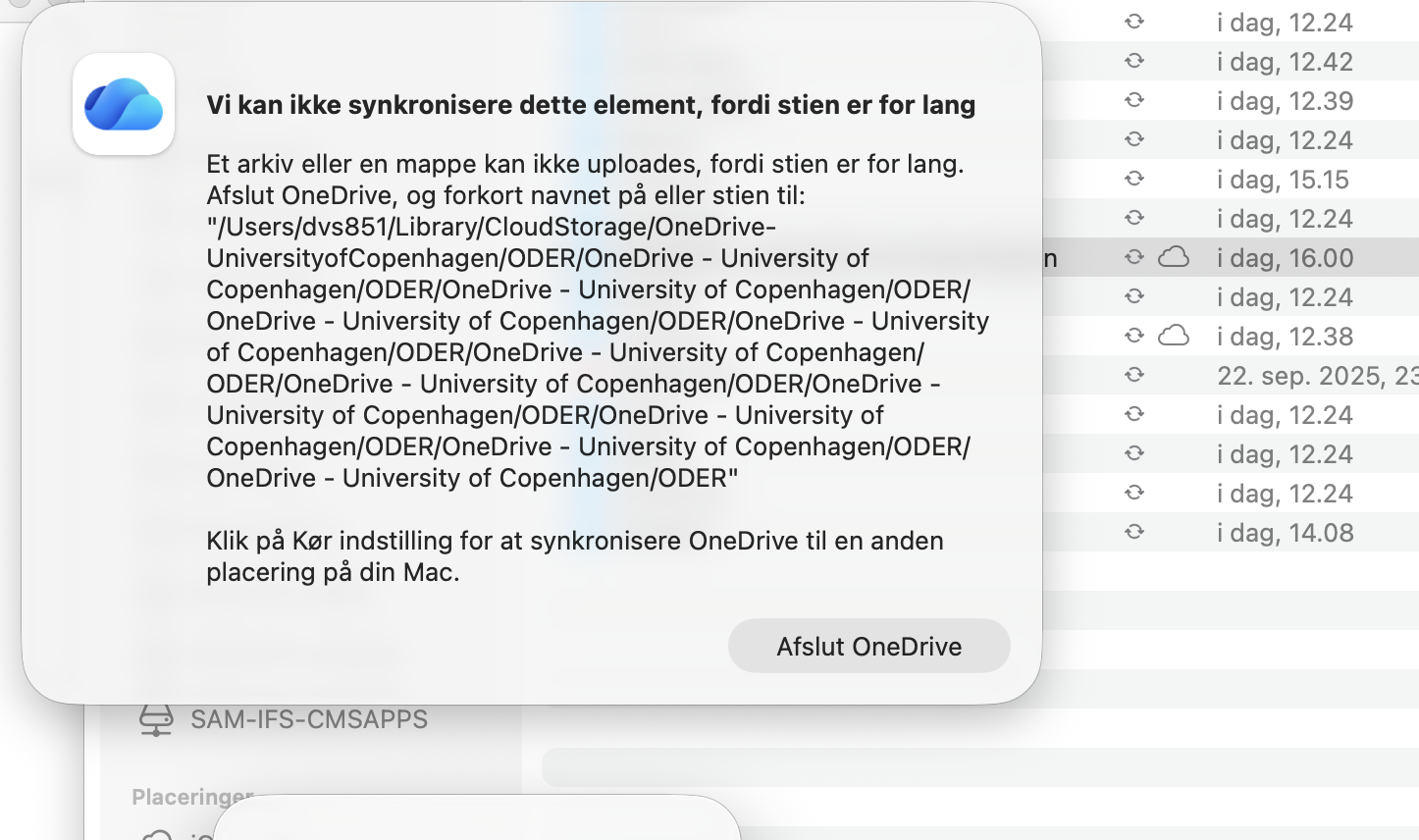 Skærmbillede 2025-11-17 kl. 17.03.54