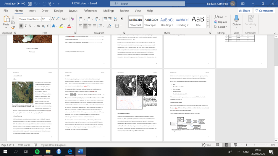 Can't see all pages of my Word document - Microsoft Q&A