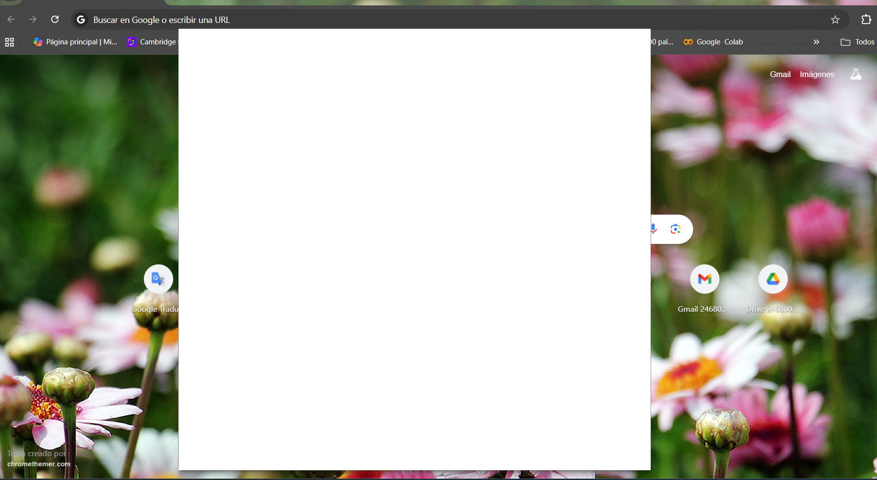 Captura de pantalla 2025-10-23 174641
