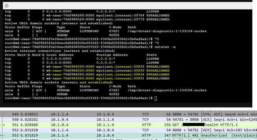 100285-netsat-and-wireshark.png