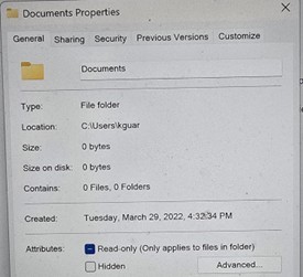 Onedrive directory help needed re local files lost - Microsoft Q&A