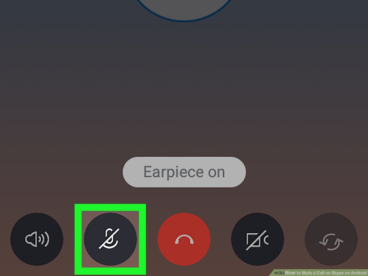 How to Mute a Call on Skype on Android: 7 Steps (with Pictures)