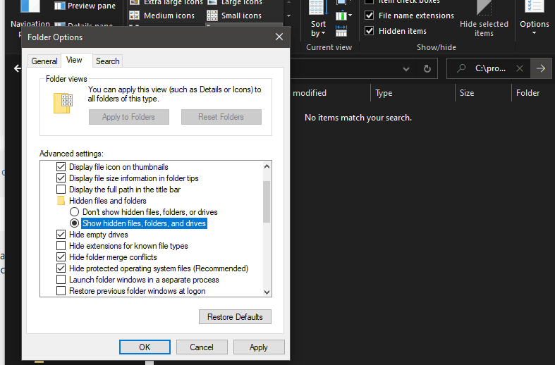 A hidden hidden file? - Microsoft Q&A