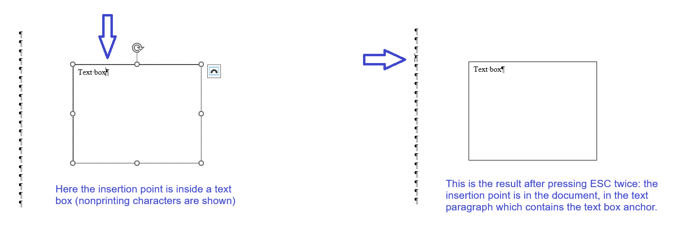 User's image