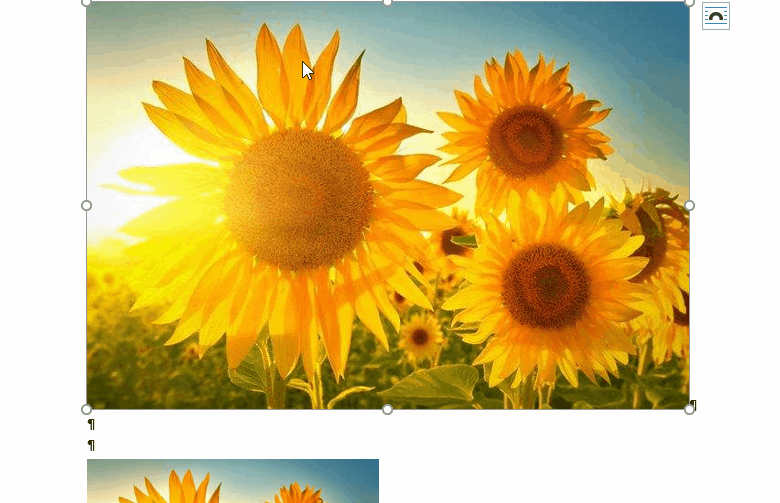 Select And Format Multiple Images In Word Microsoft Q A Select And Format Multiple Images In Word Microsoft Q A