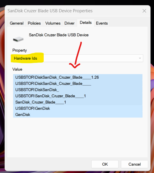 Find USB Drive Hardware ID on Windows 11 using Device Manager