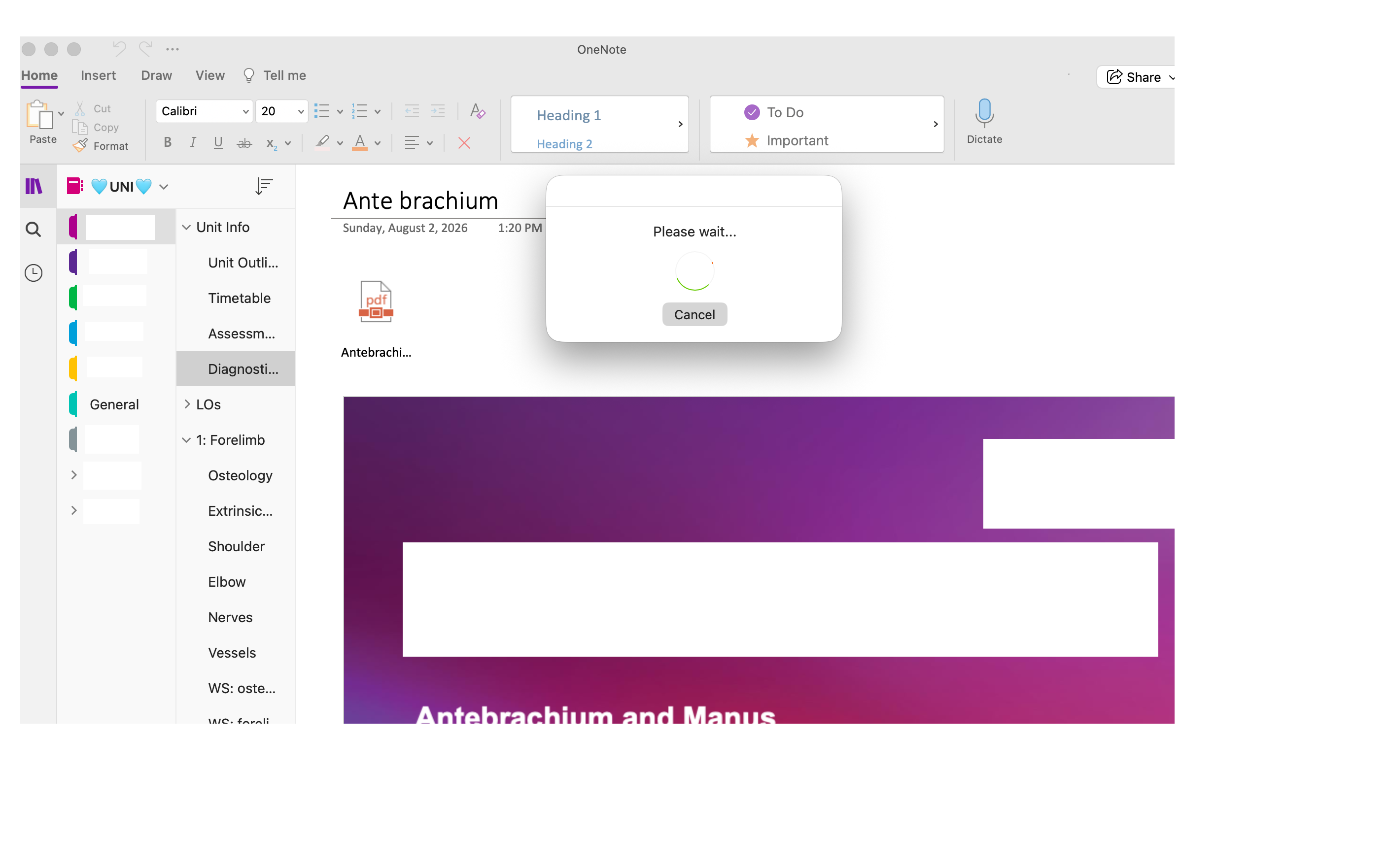 Screenshot 2026-08-07 at 12.48.19 pm