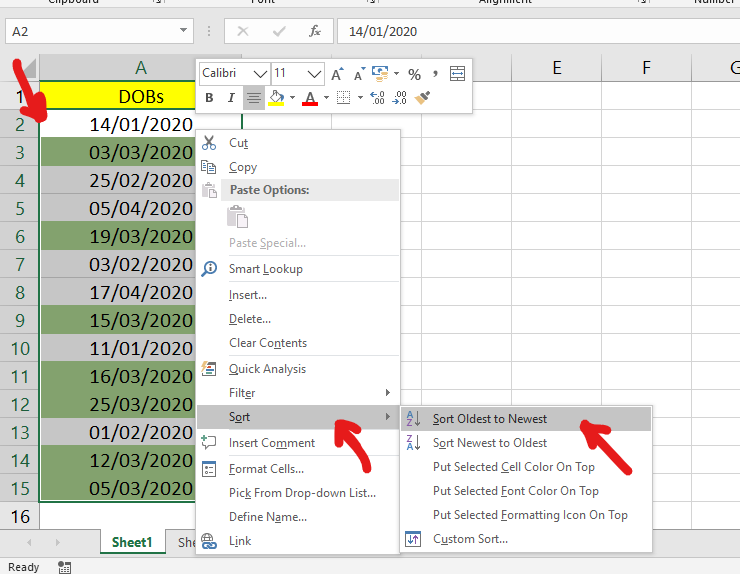 Unable to sort date of birth using advanced filter in excel ...