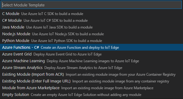 The module template options