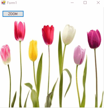 ZOOM ON PICTUREBOX AND DRAWN LINE - Microsoft Q&A