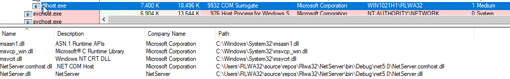 162510-dllhost.png