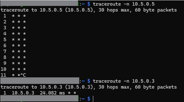 screenshot traceroute linux host2