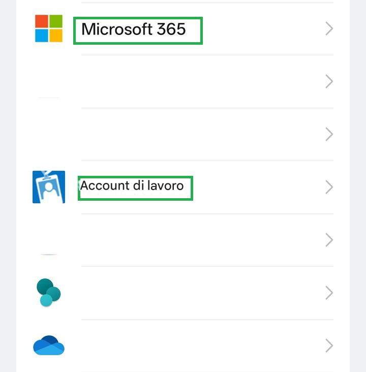 Microsoft 365>>>Account di lavoro>>>>