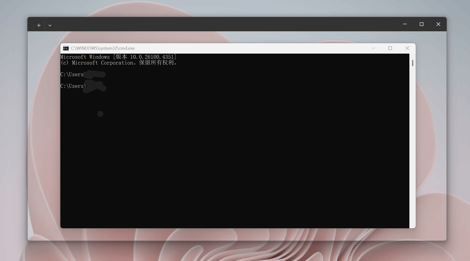 Win+R to start cmd but emerge two windows: the windows terminal & the ...
