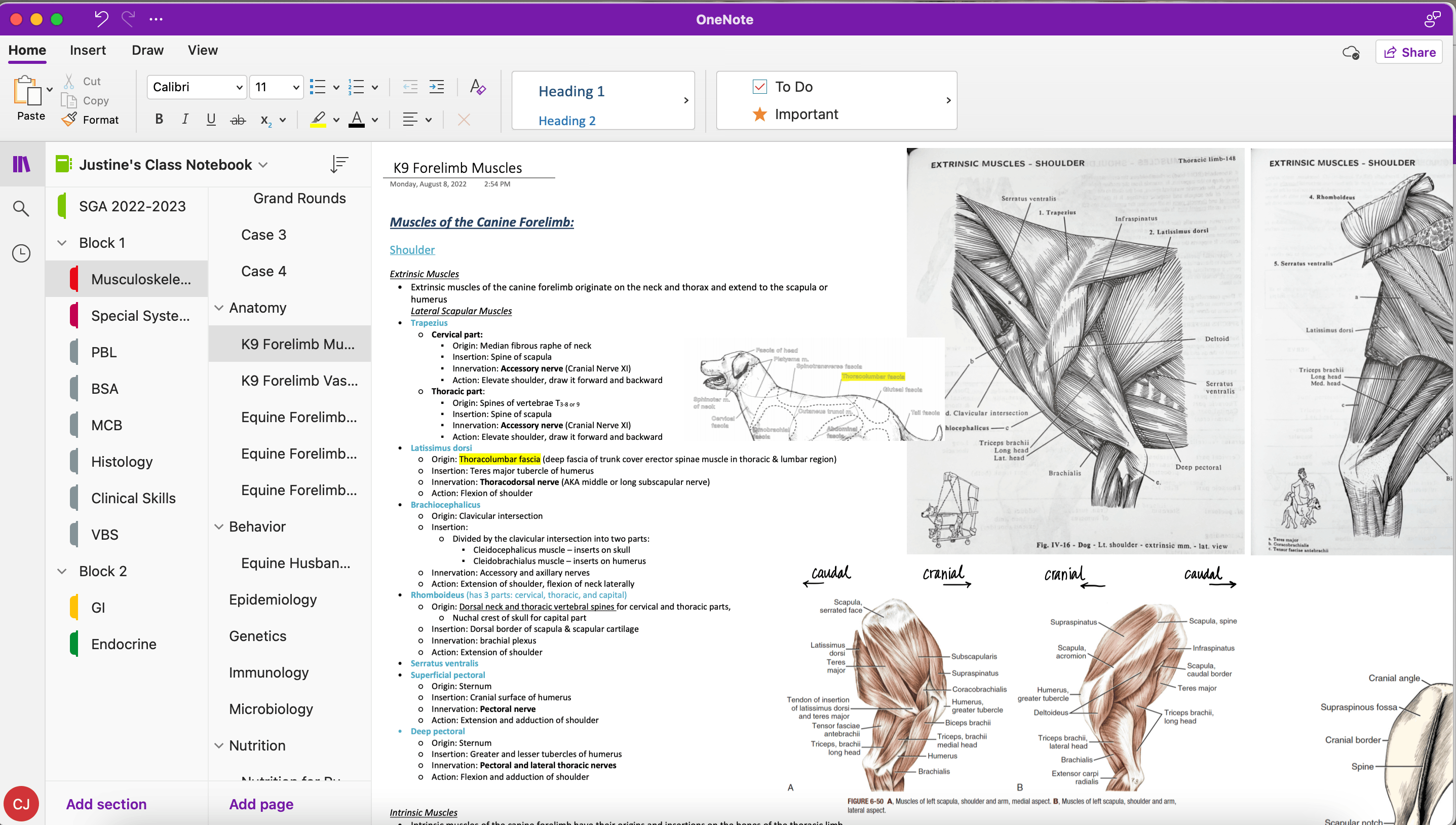 OneNote Images Not Loading on Browser Version - Microsoft Q&A