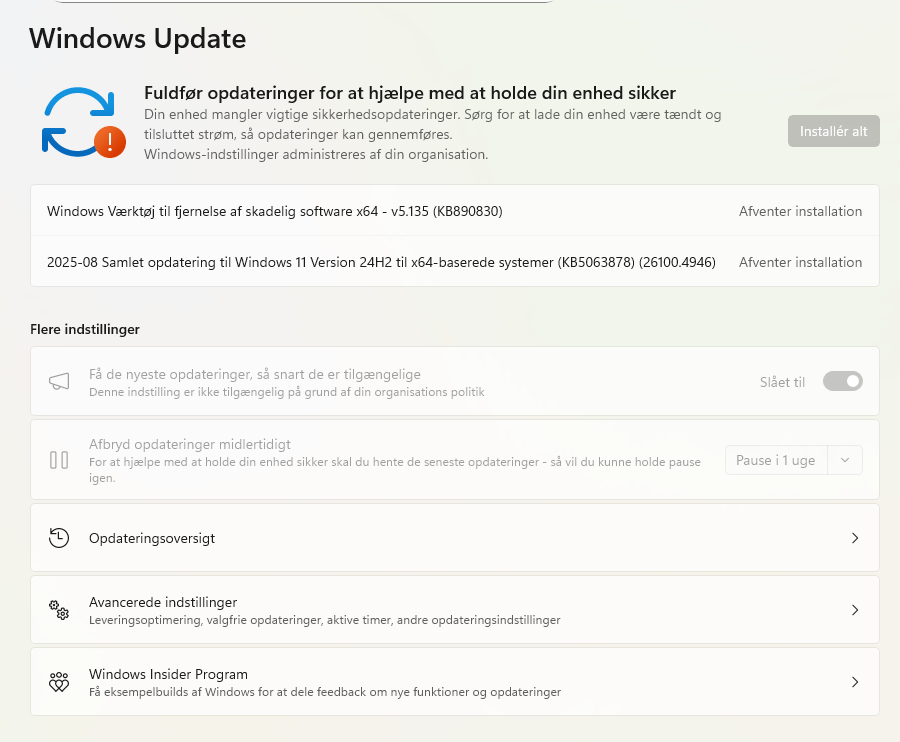 windows