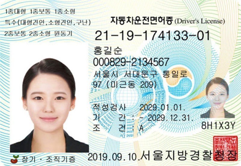 193717-korean-driverslicense.jpeg