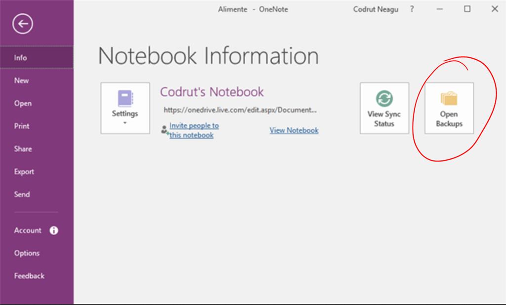 Where does OneNote store Notebooks locally that are synced on OneDrive ...
