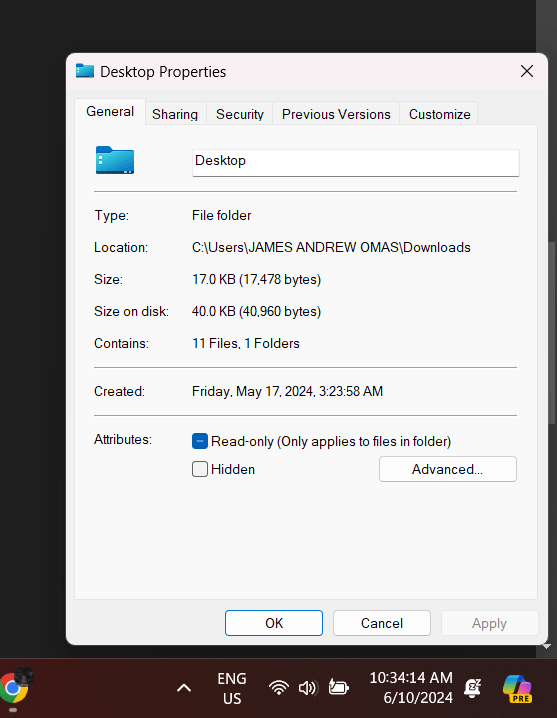 Multiple Desktop folder duplicate in download folder causing storage to ...