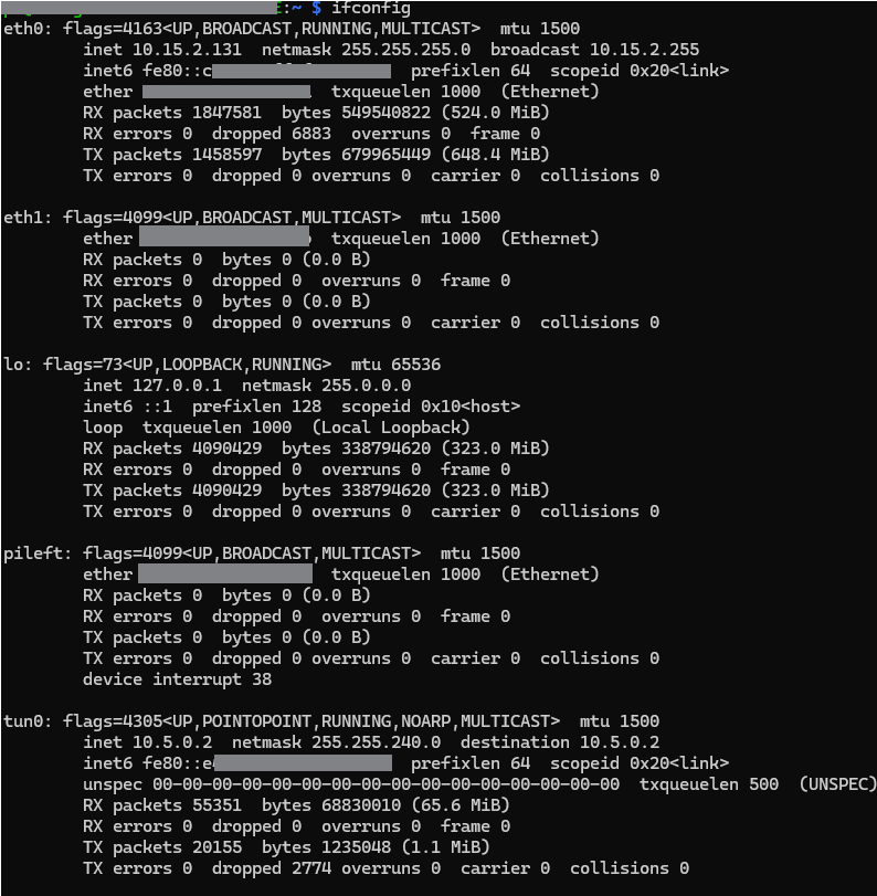 screenshot ipconfig linux host2