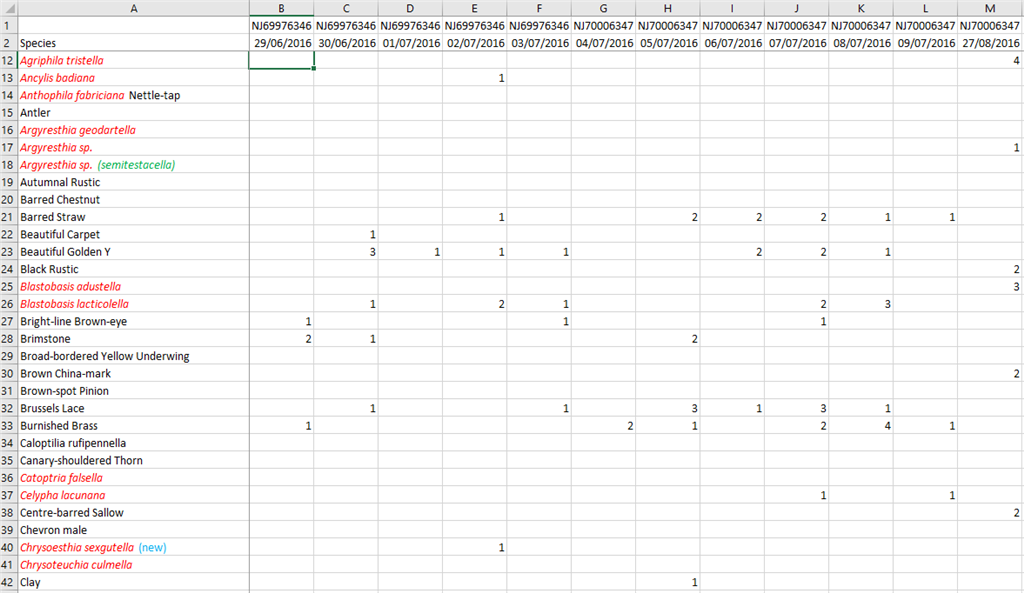 Excel sorting question - Microsoft Q&A