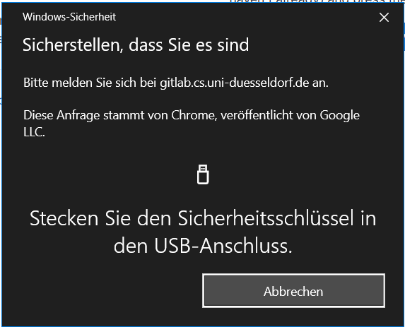 Sicherheitsschlüssel Aufforderung