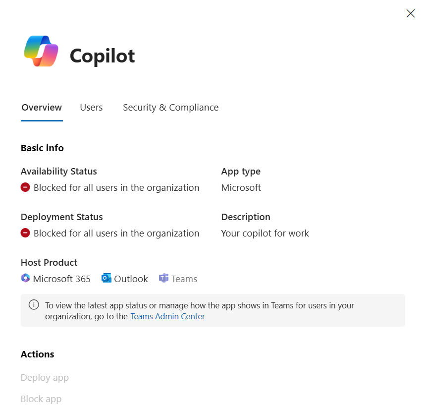 copilot issue 1