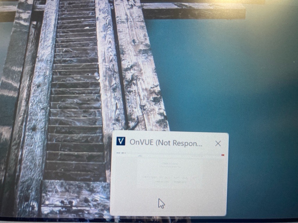 User's image