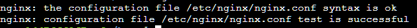 NginxCap2