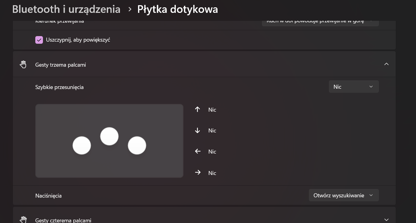 Obraz użytkownika