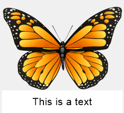 User's image