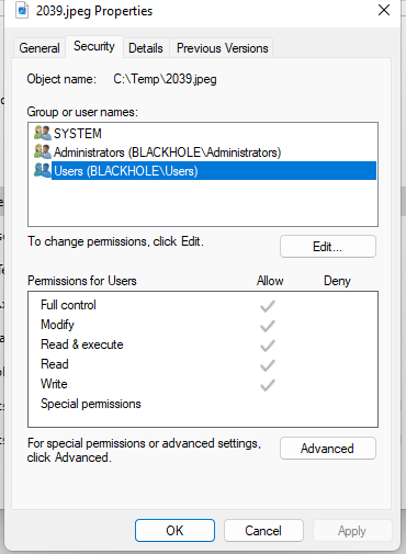 Access Denied deleting file I own from VB.net - Microsoft Q&A