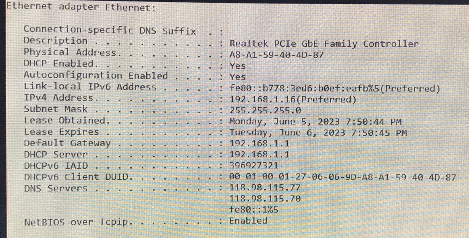 details in ipconfig