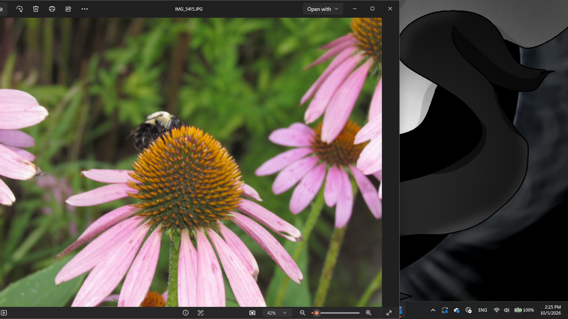 Screenshot (1586)