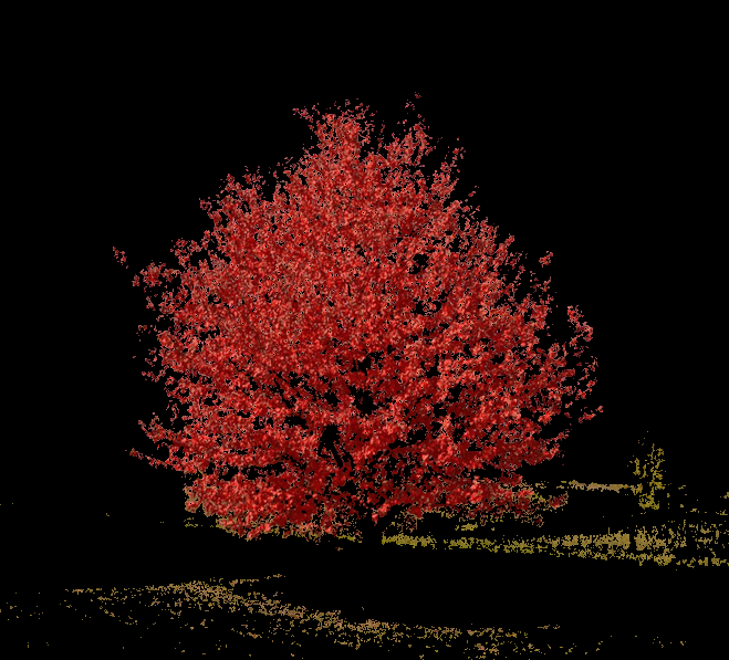 275561-chroma-invert.jpg