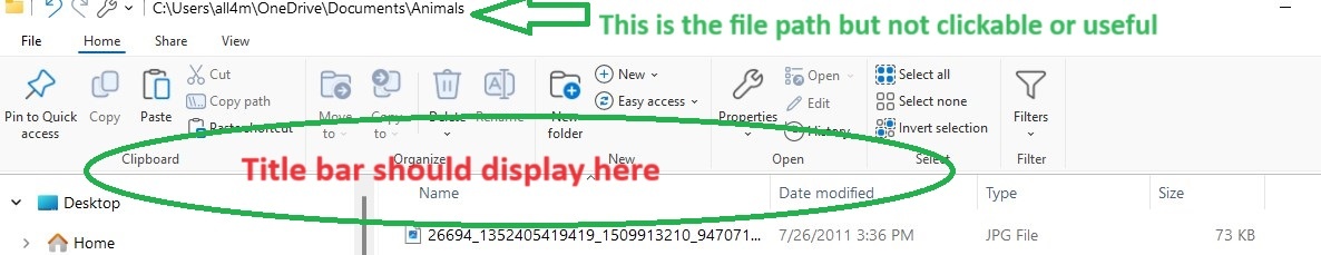 Title bar does not display in file explorer in Windows 11. - Microsoft Q&A