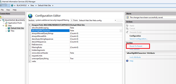 IIS 10 - turning off "allow high bit characters" - Microsoft Q&A