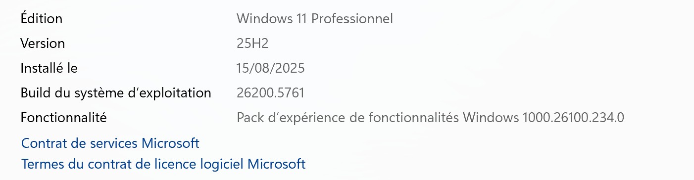 W11 25H2 CANAL DEV 26200.5761 40.6 Go
