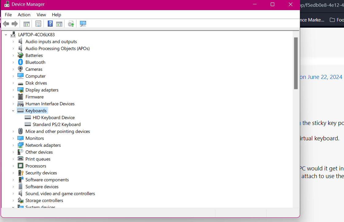 Some of my keyboard keys will randomly stop working then start again ...