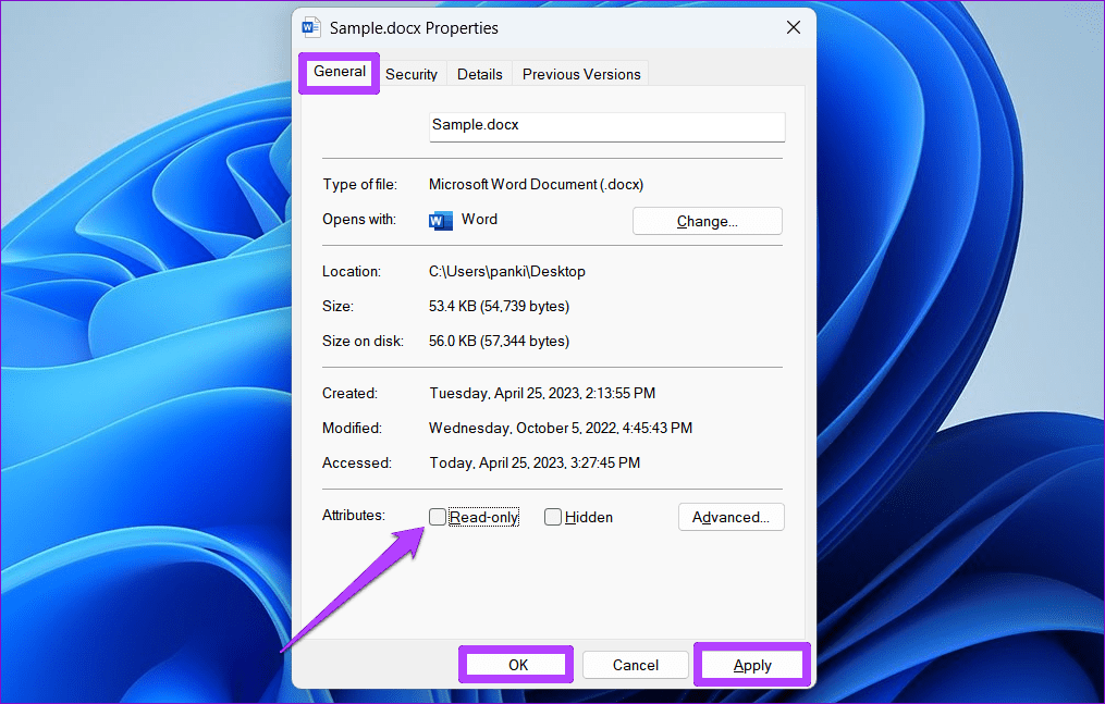 Remove Read Only Attribute for File