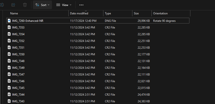 My RAW pictures from my camera were randomly rotated when I plugged in ...